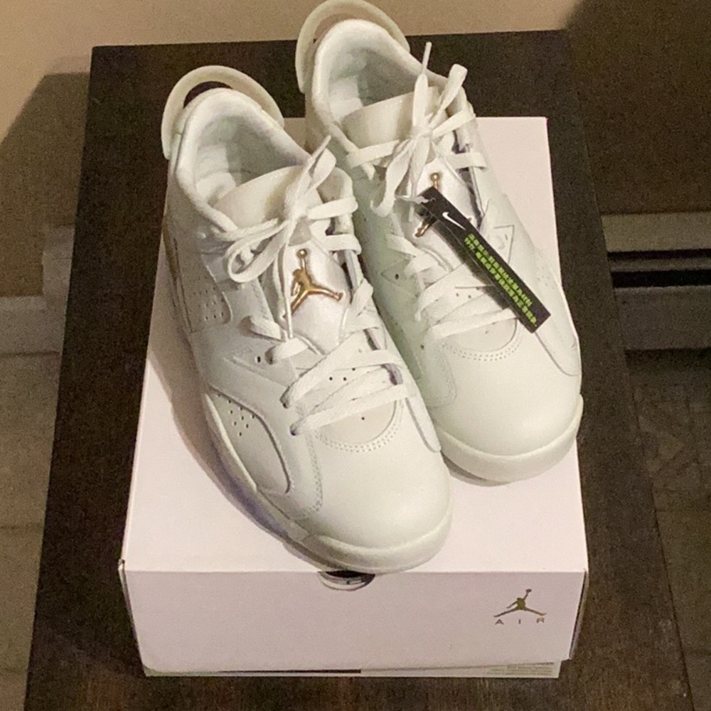 NEW Jordan six low retro